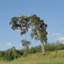 �����, �� ������� ������� ������� ������ �� ������� ������ �� ���� ��