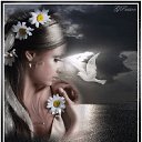   ( -        ,  -  3  2010     