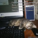 ���� �������, �����-���������, 45 ��� - ��������� 26 ��� 2012 � ������ ���� ����������