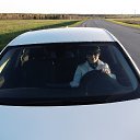 ���� �����, ������������ - ��������� 3 ���� 2013 � ������ ��������