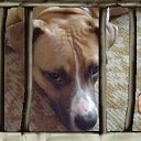 ���� Ed, ����, 54 ���� - ��������� 29 ������� 2009 � ������ �������