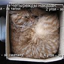 ���� ����� - ���������� ��������!!!, �����������, 56 ��� - ��������� 13 ������� 2009 � ������ ��������� ����һ