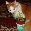 � � ������� ����� � ��� �������... ���������... �� ������� ����� ��� ������������