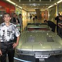 ���� ����, �����������, 43 ���� - ��������� 3 ������� 2011 � ������ ���� ����������