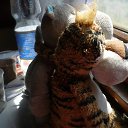 ���� ��������, ������, 45 ��� - ��������� 6 ������� 2009 � ������ �������