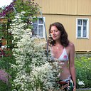 ���� ����, ������ - ��������� 1 �������� 2010 � ������ ���� ����������