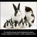 ���� ���������, ���������, 46 ��� - ��������� 29 ������ 2010 � ������ ������� �����...�