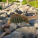 ���� ���, ������ - ��������� 26 �������� 2010 � ������ �������, ����-2010�