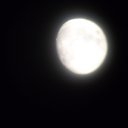 ���� Gve, ����, 37 ��� - ��������� 1 ������� 2013