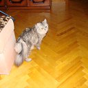 ���� Svetlanas, ���������, 47 ��� - ��������� 7 ���� 2010 � ������ ���� �������