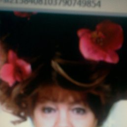 ���� ������, ���������, 72 ���� - ��������� 6 ����� 2013