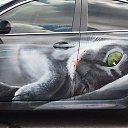 ���� ������, ���������� - ��������� 23 ������� 2012 � ������ �������