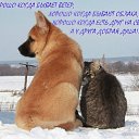 ���� �����, ������, 62 ���� - ��������� 15 ������ 2011 � ������ ���� ����������