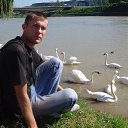 ���� �����, ������ - ��������� 29 ������ 2013 � ������ ���� ����������