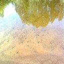 ���� �������, �����, 51 ��� - ��������� 24 ������ 2012 � ������ ���������2011 ���� �����