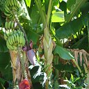 ���� �����, ������, 64 ���� - ��������� 6 ���� 2013 � ������ ���� ����������