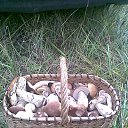 ���� �������, �����-���������, 57 ��� - ��������� 1 ���� 2013 � ������ ���� ����������