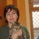 ���� �������, ������������ - ��������� 6 ������ 2013 � ������ ���� ����������