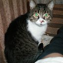 ���� �������, ��������� - ��������� 17 ���� 2011 � ������ ���� ���������