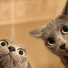 ���� �������, ������, 22 ���� - ��������� 14 ������ 2013