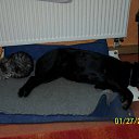 ���� Dimka, ������, 57 ��� - ��������� 11 ����� 2012 � ������ �TIERE�