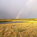 ����, �. �����, ���������� ����. �� ������� ���� ����������