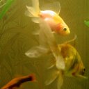 ���� Aleksandr, ���������, 46 ��� - ��������� 4 ������ 2010 � ������ ������ ������