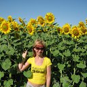 ���� ������, ���������, 58 ��� - ��������� 30 ��� 2012 � ������ ���� ����������