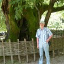 ���� �������, ������ - ��������� 20 �������� 2011 � ������ ���� ����������