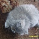 ���� ���������, ����������, 35 ��� - ��������� 26 ������ 2011 � ������ ���������=)�