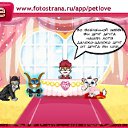  , , 37  -  7  2010   PetLove