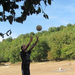 ���� �������, �����������, 36 ��� - ��������� 10 ������ 2013