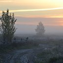 ���� ���������, ������� - ��������� 14 ������� 2012 � ������ ����������� ��������� ����. �. �������, ���������