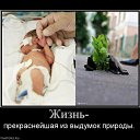 ���� �����, ������, 68 ��� - ��������� 14 ���� 2010 � ������ ���������