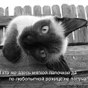 ���� �����, �����-���������, 26 ��� - ��������� 2 ������� 2011 � ������ ������