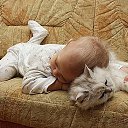 ���� �������, ����� - ��������� 5 ������� 2012 � ������ ���������Ȼ