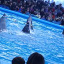 ���� �����, ����� - ��������� 25 ������ 2012 � ������ ���� ����������