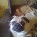  , -, 47  -  22  2012    