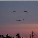 ���� ���������, �����, 43 ���� - ��������� 14 ������� 2011