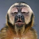 ���� ���, ���, 25 ��� - ��������� 14 ������ 2010