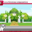  , , 43  -  19  2010   PetLove