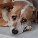 ���� �������, ������������, 64 ���� - ��������� 12 ���� 2013 � ������ ���� ����������