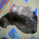 ���� Meritaton, ����, 47 ��� - ��������� 8 ������� 2009 � ������ �������������)) ���....�