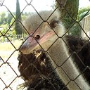 ���� �������, ������������, 43 ���� - ��������� 28 ������� 2012 � ������ ���� ����������