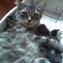 ������ ���� �� ������� ���� �����