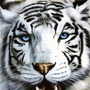 ���� ���������, ���������������, 54 ���� - ��������� 5 ������� 2011 � ������ ���� ����������