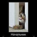 ���� �����, �������, 41 ��� - ��������� 20 ������ 2012 � ������ ���� ����������