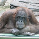  Ykka, , 67  -  19  2012