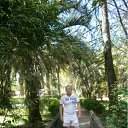 ���� ����, ������������, 41 ��� - ��������� 6 ������ 2011 � ������ ���� ����������