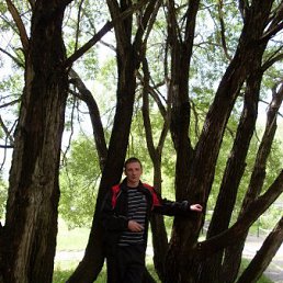 �������, �����������, 50 ���